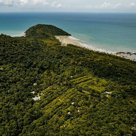 Bed and Breakfast Cape Trib Farm Cape Tribulation Exterior foto