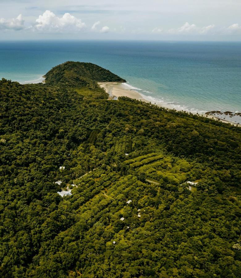 Bed and Breakfast Cape Trib Farm Cape Tribulation Exterior foto